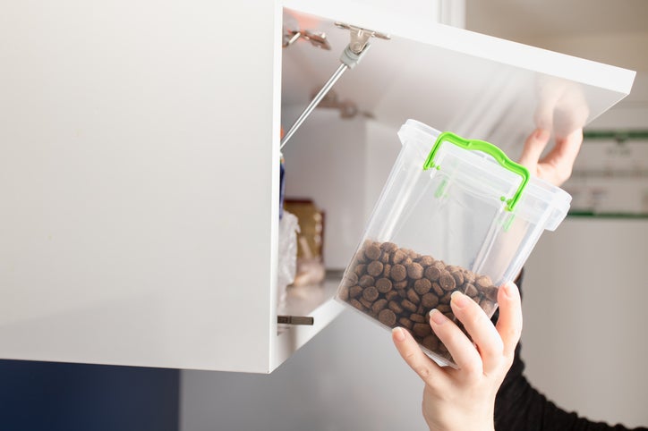 pet feed storage, proper stay of dog  and cat food in a dry, dark place