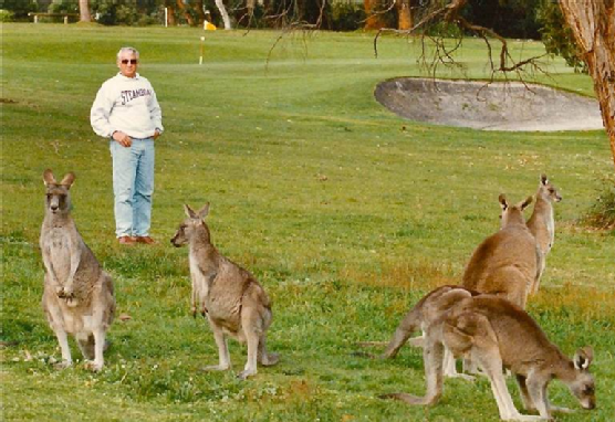 john yelland and kangaroos